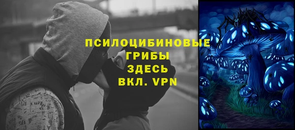 spice Горно-Алтайск