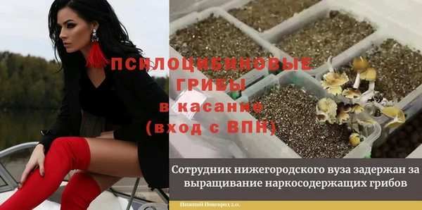 героин Горняк