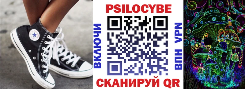 Галлюциногенные грибы Psilocybine cubensis  Курган 